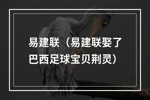 易建联（易建联娶了巴西足球宝贝荆灵）