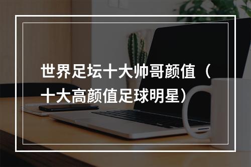 世界足坛十大帅哥颜值（十大高颜值足球明星）