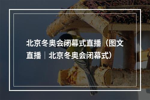 北京冬奥会闭幕式直播（图文直播│北京冬奥会闭幕式）