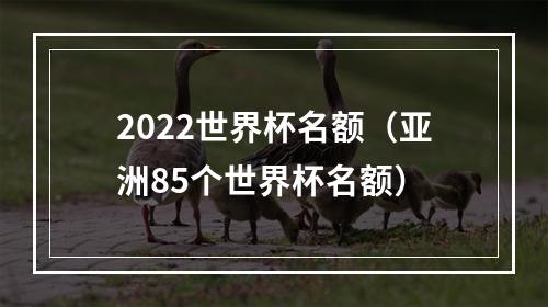 2022世界杯名额（亚洲85个世界杯名额）