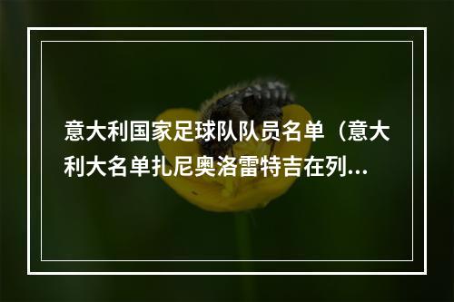 意大利国家足球队队员名单（意大利大名单扎尼奥洛雷特吉在列）