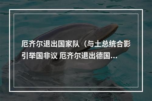 厄齐尔退出国家队（与土总统合影引举国非议 厄齐尔退出德国国家队 愤怒回应）