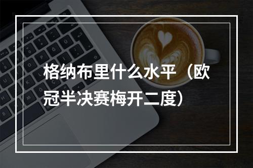格纳布里什么水平（欧冠半决赛梅开二度）