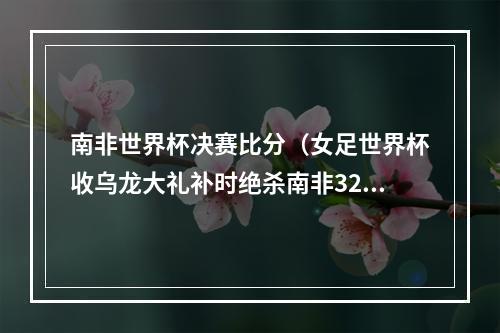 南非世界杯决赛比分（女足世界杯收乌龙大礼补时绝杀南非32意大利首次晋级淘汰赛）