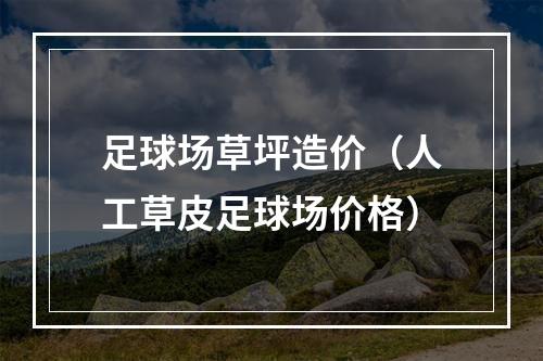 足球场草坪造价（人工草皮足球场价格）