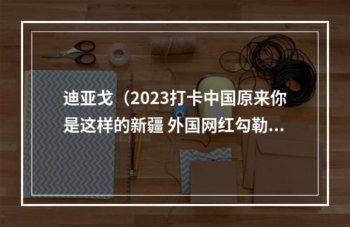 迪亚戈（2023打卡中国原来你是这样的新疆 外国网红勾勒新时代他的样子）