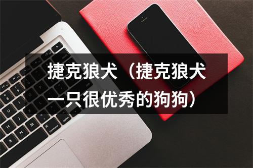 捷克狼犬（捷克狼犬一只很优秀的狗狗）