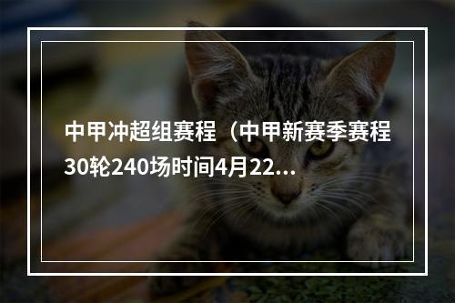 中甲冲超组赛程（中甲新赛季赛程30轮240场时间4月22日11月5日广州主场越秀山）