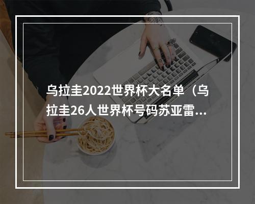 乌拉圭2022世界杯大名单（乌拉圭26人世界杯号码苏亚雷斯9号）