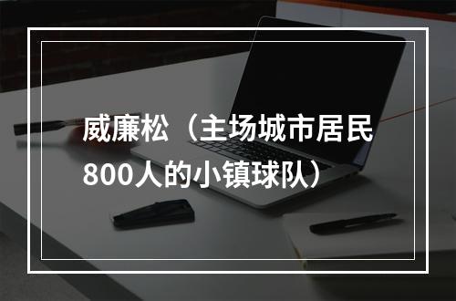 威廉松（主场城市居民800人的小镇球队）