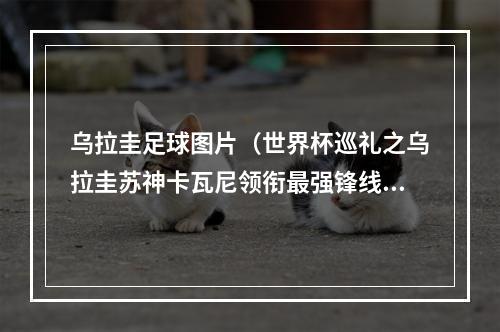 乌拉圭足球图片（世界杯巡礼之乌拉圭苏神卡瓦尼领衔最强锋线 11载老帅谢幕战）