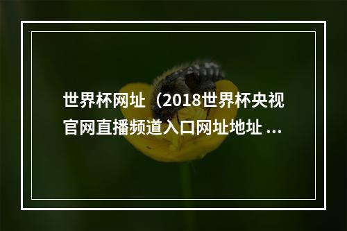 世界杯网址（2018世界杯央视官网直播频道入口网址地址 cctv5直播在哪看）