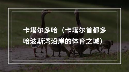 卡塔尔多哈（卡塔尔首都多哈波斯湾沿岸的体育之城）