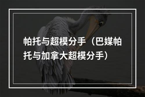 帕托与超模分手（巴媒帕托与加拿大超模分手）