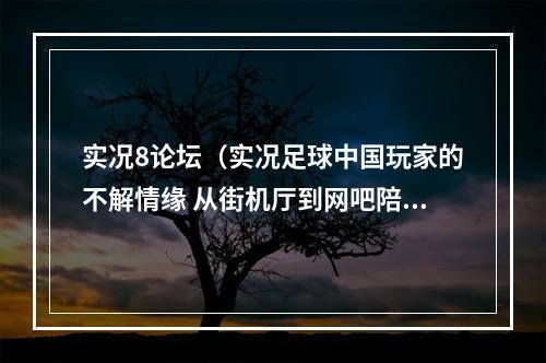 实况8论坛（实况足球中国玩家的不解情缘 从街机厅到网吧陪你走过青春岁月）