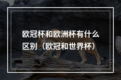 欧冠杯和欧洲杯有什么区别（欧冠和世界杯）