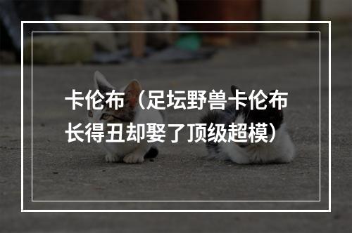 卡伦布（足坛野兽卡伦布长得丑却娶了顶级超模）