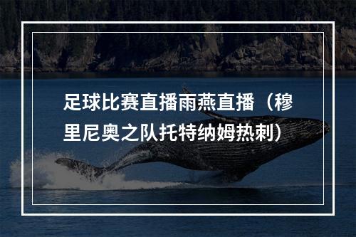 足球比赛直播雨燕直播（穆里尼奥之队托特纳姆热刺）