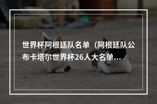 世界杯阿根廷队名单（阿根廷队公布卡塔尔世界杯26人大名单 梅西领衔）