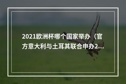 2021欧洲杯哪个国家举办（官方意大利与土耳其联合申办2032年欧洲杯）