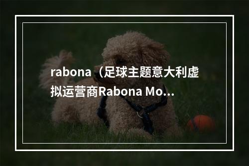 rabona（足球主题意大利虚拟运营商Rabona Mobile收购足球队10股权）
