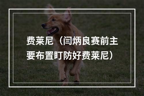 费莱尼（闫炳良赛前主要布置盯防好费莱尼）
