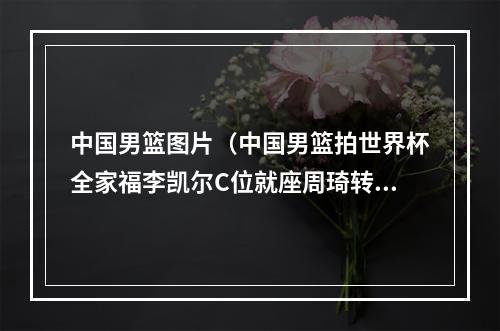 中国男篮图片（中国男篮拍世界杯全家福李凯尔C位就座周琦转会终落听笑容灿烂）