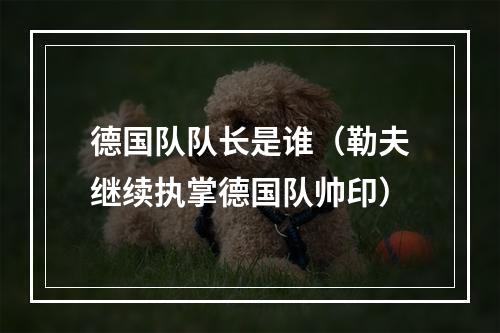 德国队队长是谁（勒夫继续执掌德国队帅印）