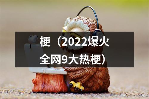梗（2022爆火全网9大热梗）