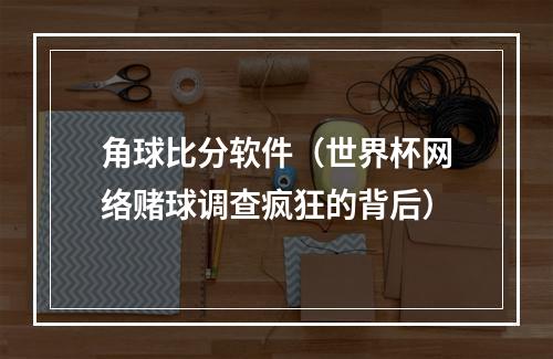 角球比分软件（世界杯网络赌球调查疯狂的背后）