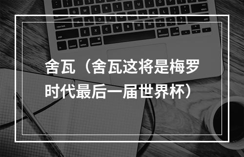 舍瓦（舍瓦这将是梅罗时代最后一届世界杯）