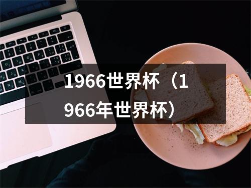 1966世界杯（1966年世界杯）
