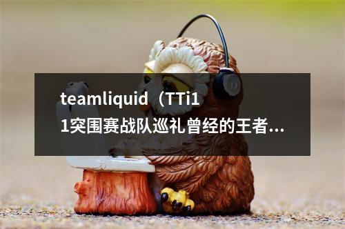 teamliquid（TTi11突围赛战队巡礼曾经的王者 冠军俱乐部Liquid）