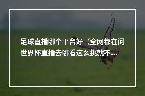 足球直播哪个平台好（全网都在问世界杯直播去哪看这么挑就不会错）