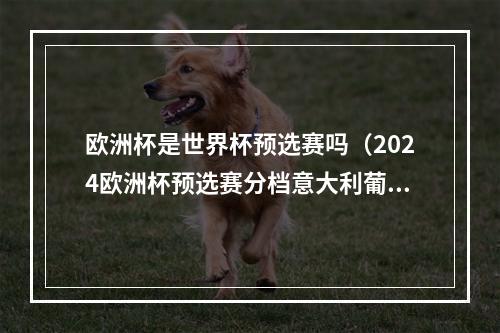 欧洲杯是世界杯预选赛吗（2024欧洲杯预选赛分档意大利葡萄牙一档 英格兰法国二档）