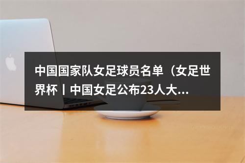中国国家队女足球员名单（女足世界杯丨中国女足公布23人大名单 王霜王珊珊张琳艳领衔出征）