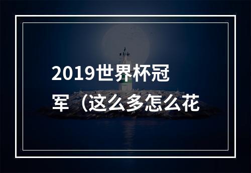 2019世界杯冠军（这么多怎么花