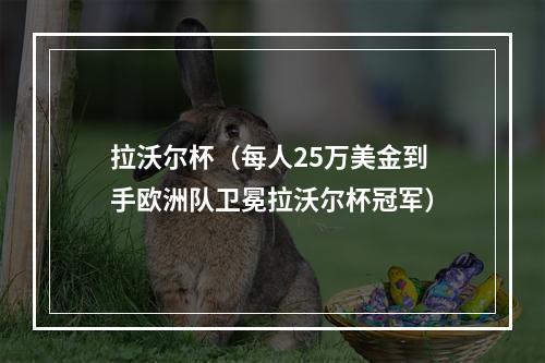 拉沃尔杯（每人25万美金到手欧洲队卫冕拉沃尔杯冠军）