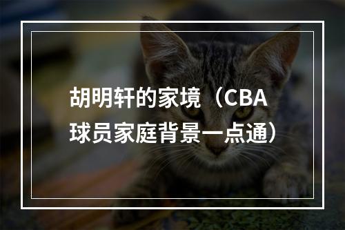 胡明轩的家境（CBA球员家庭背景一点通）