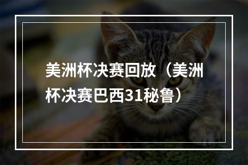 美洲杯决赛回放（美洲杯决赛巴西31秘鲁）