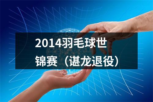2014羽毛球世锦赛（谌龙退役）