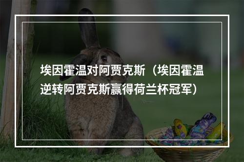 埃因霍温对阿贾克斯（埃因霍温逆转阿贾克斯赢得荷兰杯冠军）