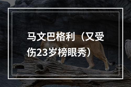 马文巴格利（又受伤23岁榜眼秀）