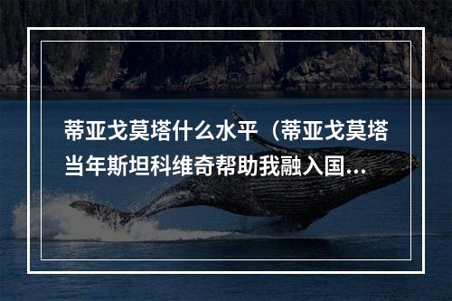 蒂亚戈莫塔什么水平（蒂亚戈莫塔当年斯坦科维奇帮助我融入国米）