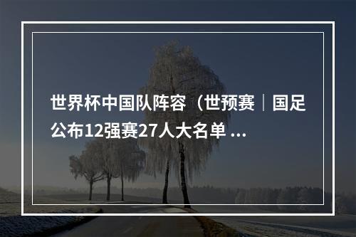 世界杯中国队阵容（世预赛｜国足公布12强赛27人大名单 戴伟浚首入选四归化在列）