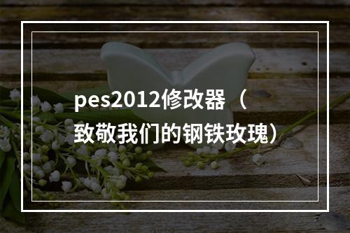 pes2012修改器（致敬我们的钢铁玫瑰）
