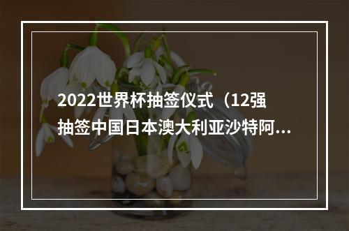 2022世界杯抽签仪式（12强抽签中国日本澳大利亚沙特阿曼越南同组）