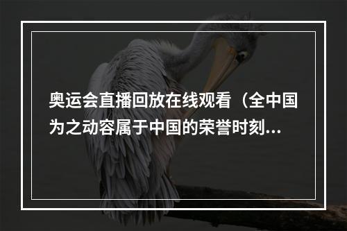奥运会直播回放在线观看（全中国为之动容属于中国的荣誉时刻回看北京奥运会开幕式）