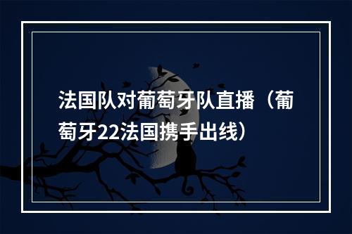 法国队对葡萄牙队直播（葡萄牙22法国携手出线）