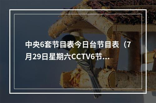 中央6套节目表今日台节目表（7月29日星期六CCTV6节目预告）